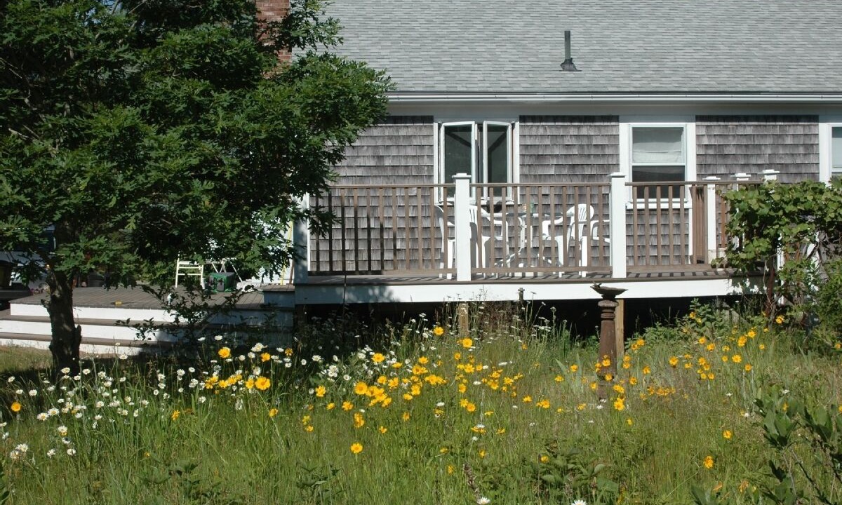 Photo of Others in Truro