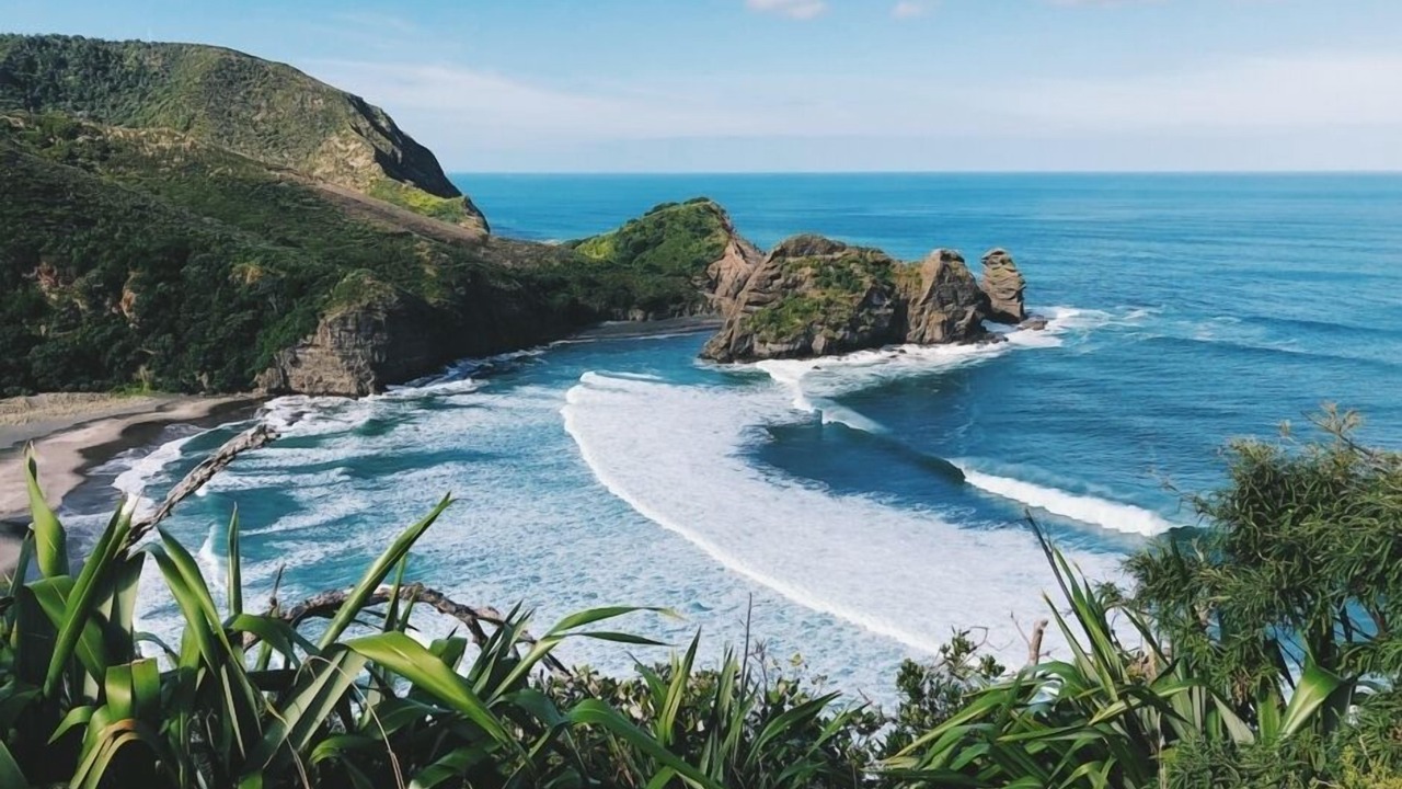 Photo of Others in Piha