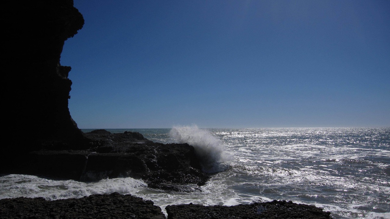 Photo of Others in Piha