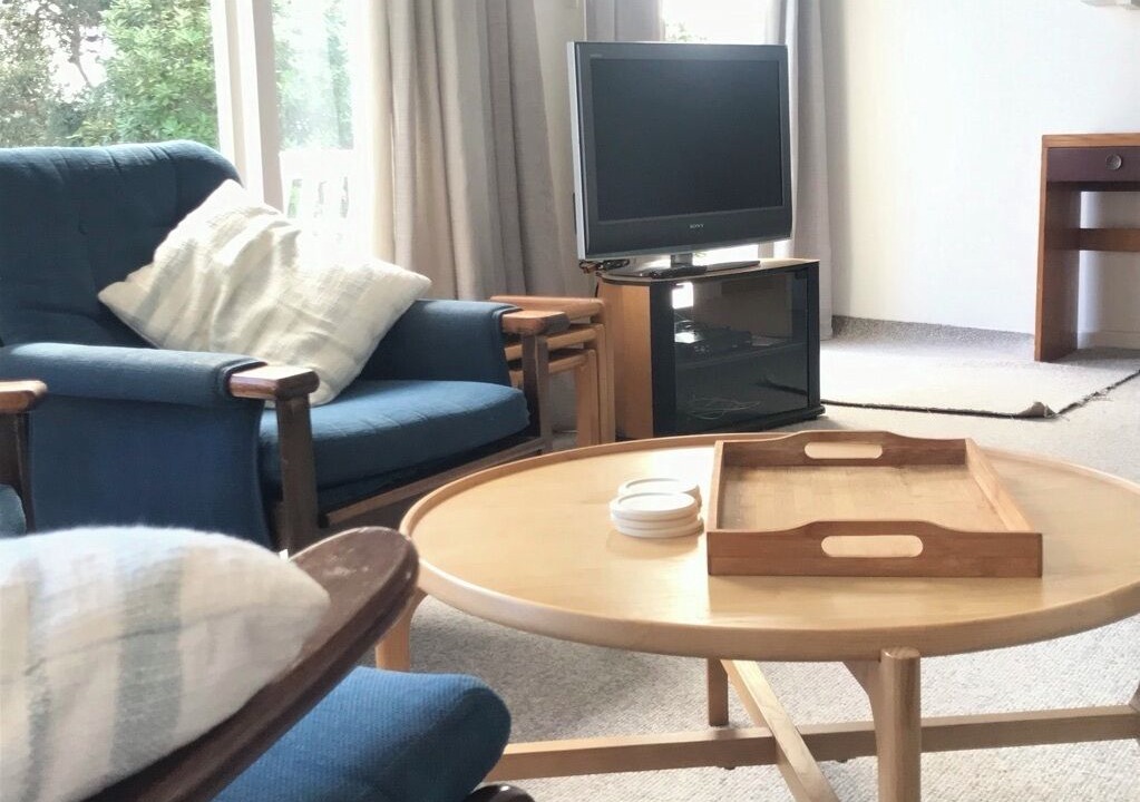 Photo of Livingroom in Piha