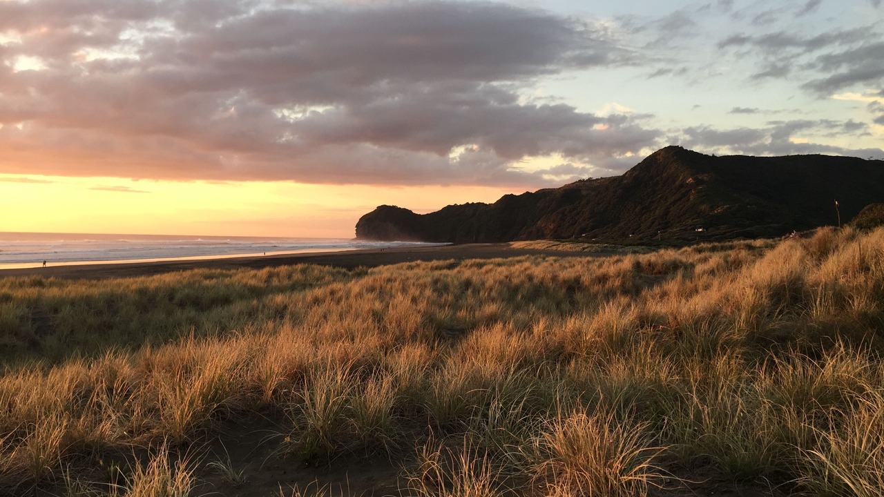Photo of Others in Piha