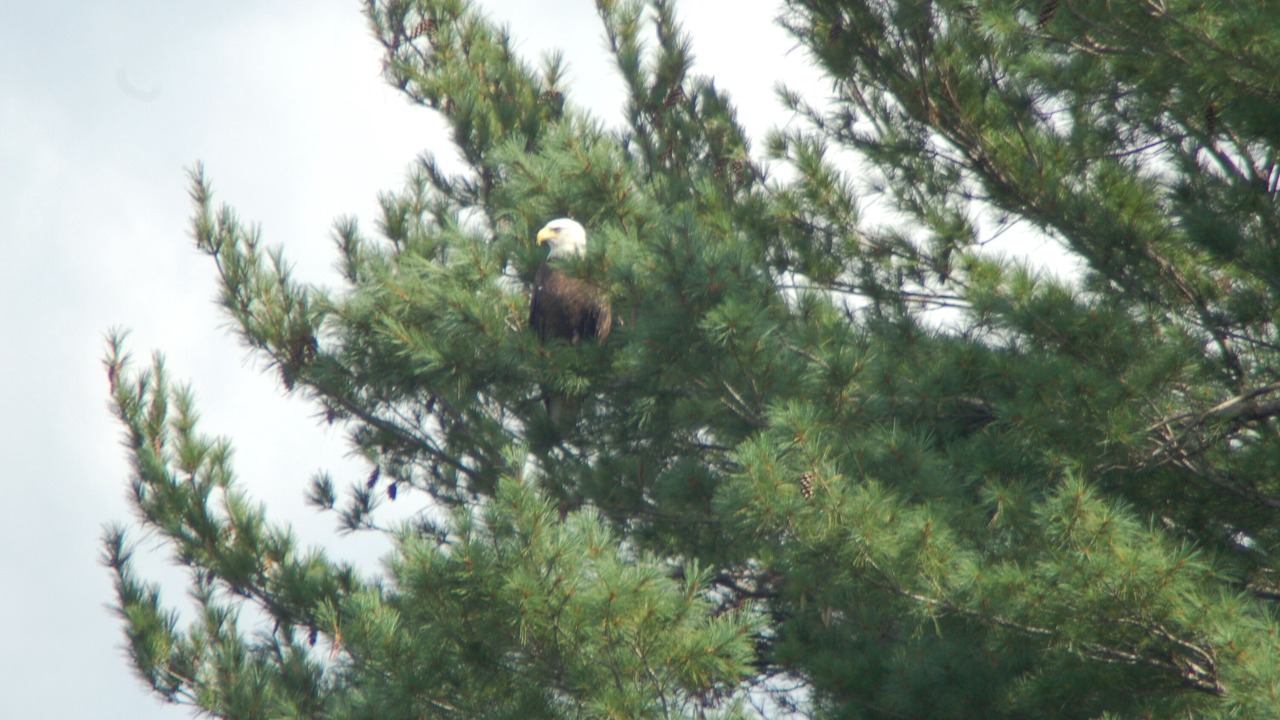 Photo of Others in Fryeburg