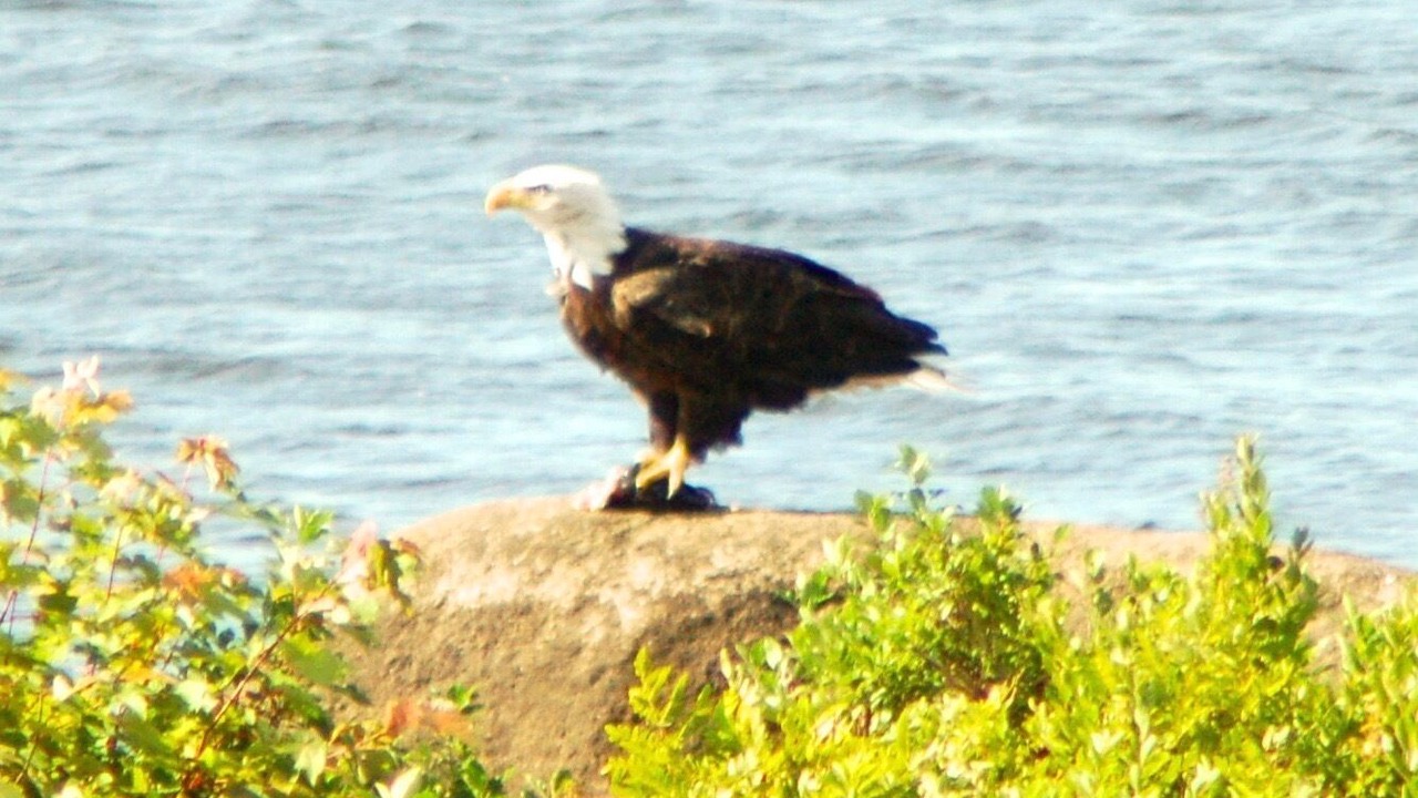 Photo of Others in Fryeburg
