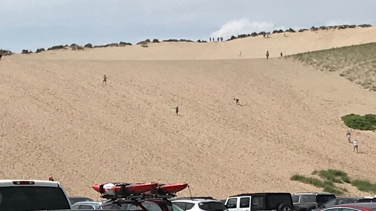 Photo of Others in Maple City