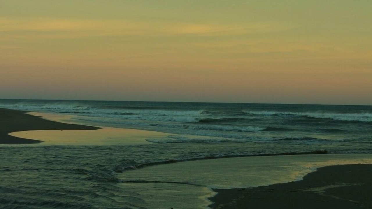 Photo of Others in Riversdale