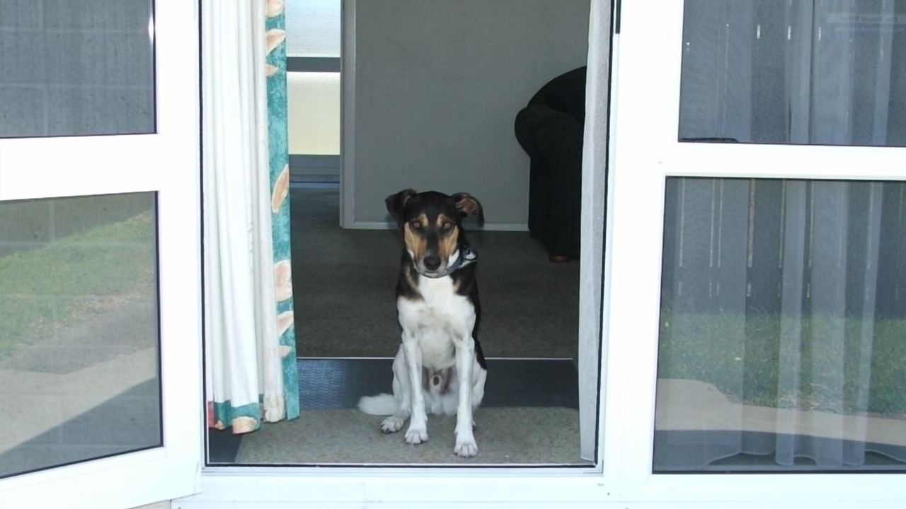 Photo of Outdoor in Riversdale