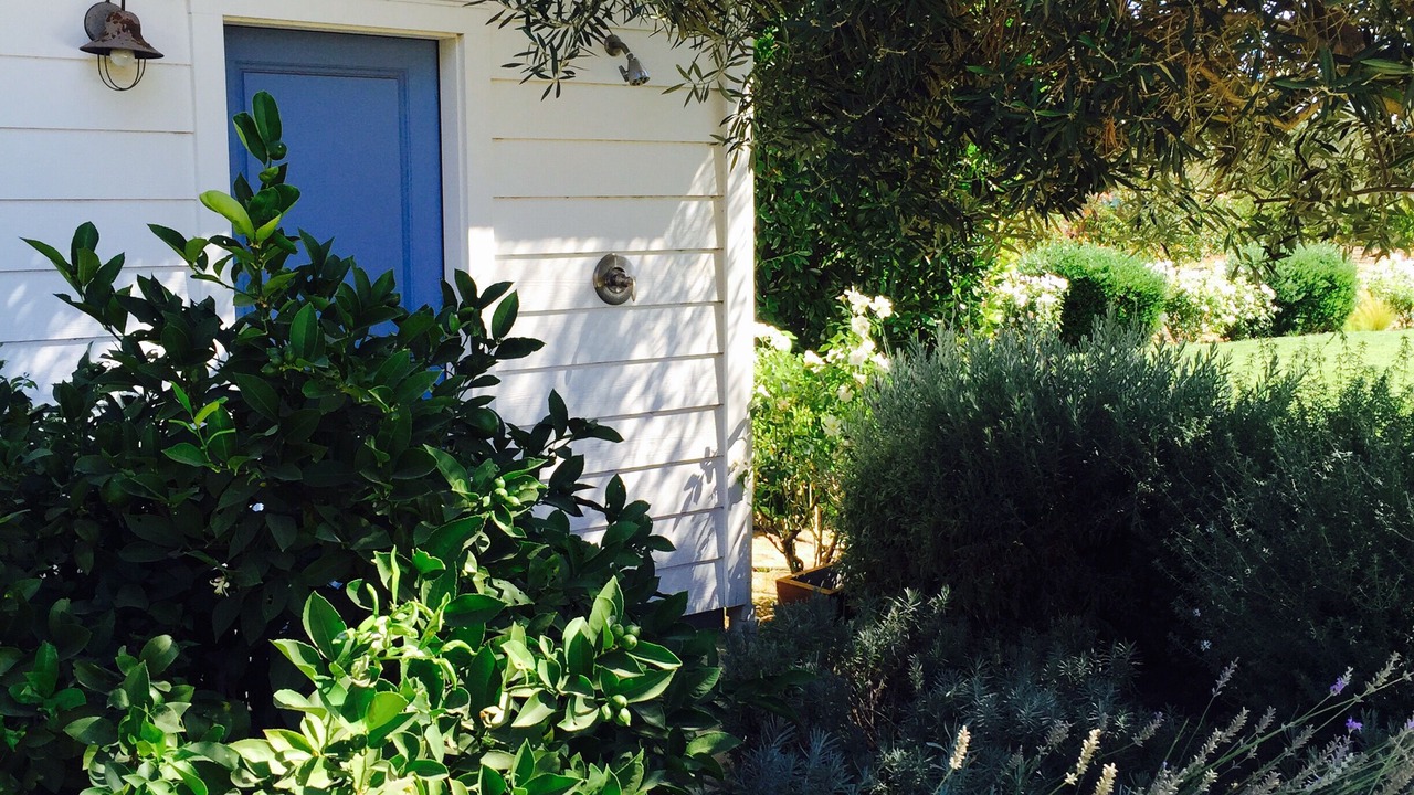 Photo of Outdoor in Napa