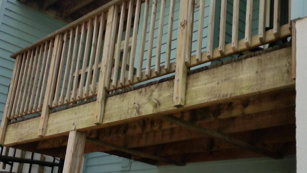 Photo of Others in Northeast Virginia Beach