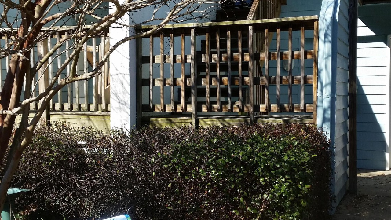 Photo of Others in Northeast Virginia Beach