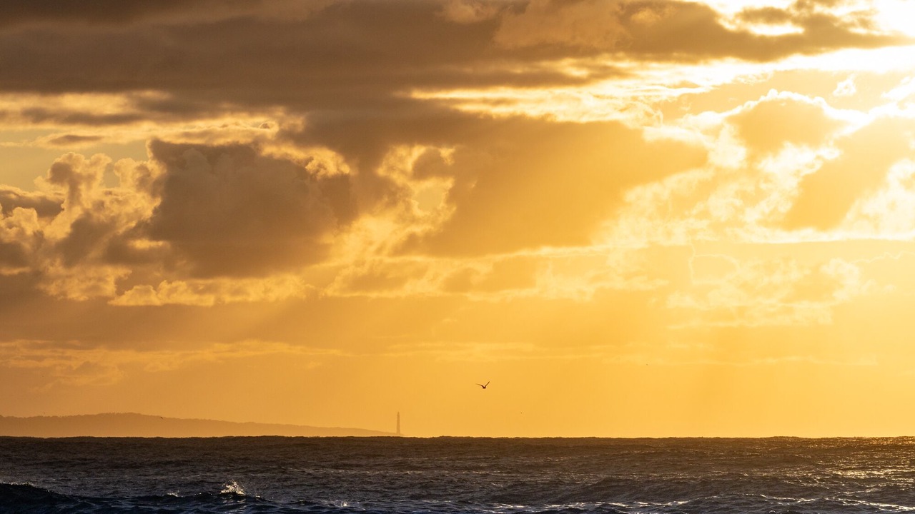 Photo of Others in Mallacoota