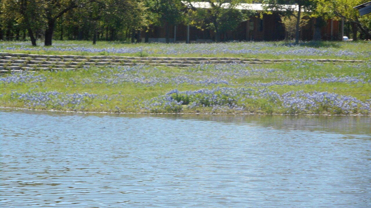 Photo of Others in Buchanan Dam