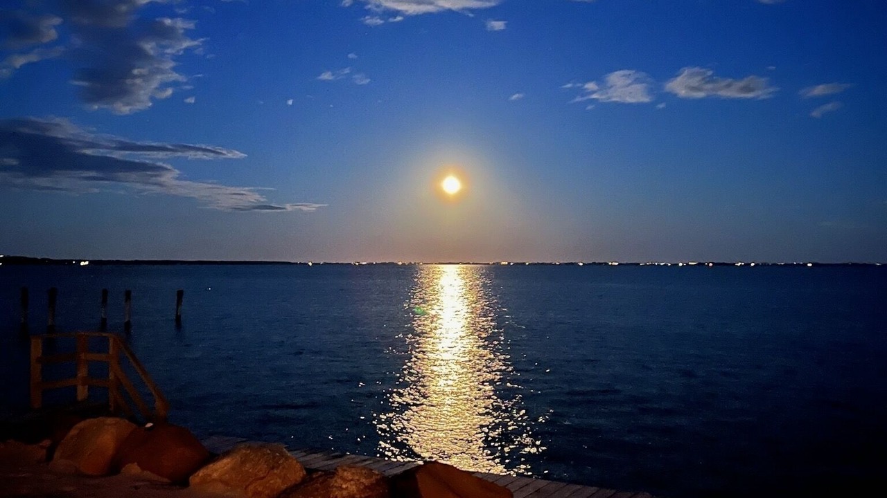 Photo of Others in Hampton Bays