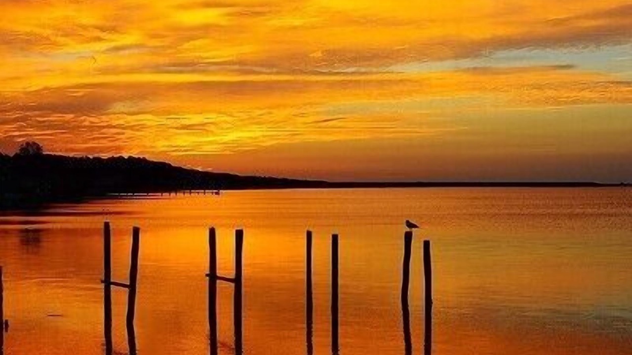 Photo of Others in Hampton Bays