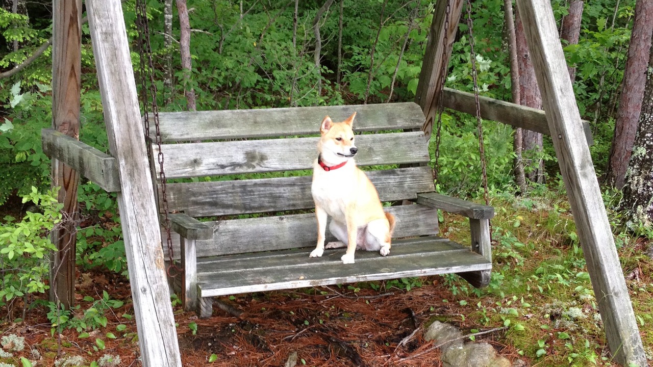 Photo of Others in West Alton