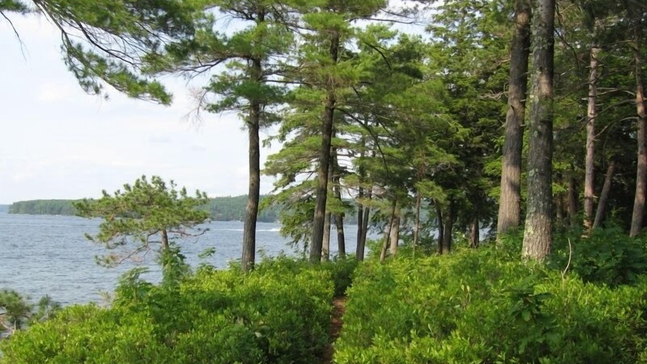 Photo of Others in West Alton