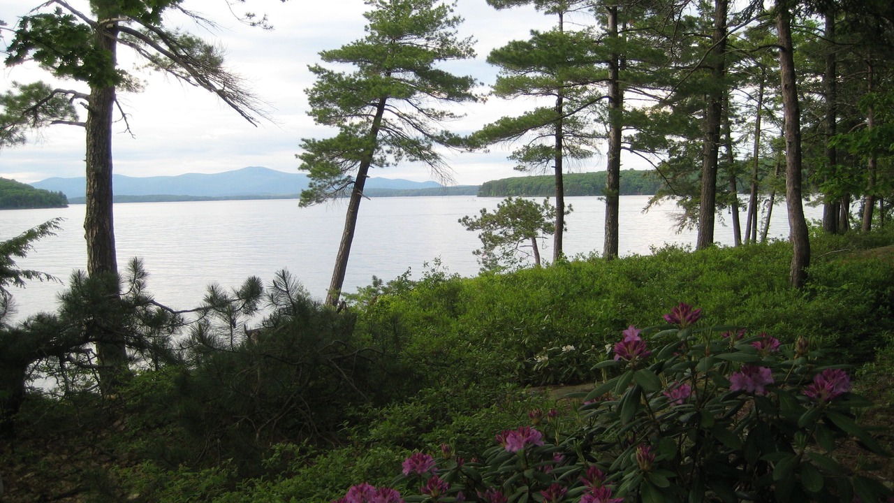 Photo of Others in West Alton