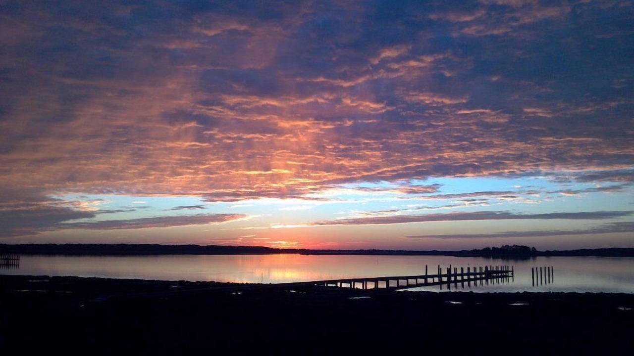 Photo of Others in Chincoteague