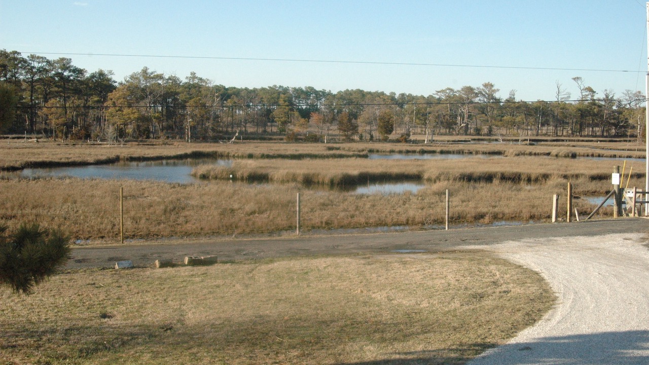 Photo of Others in Chincoteague