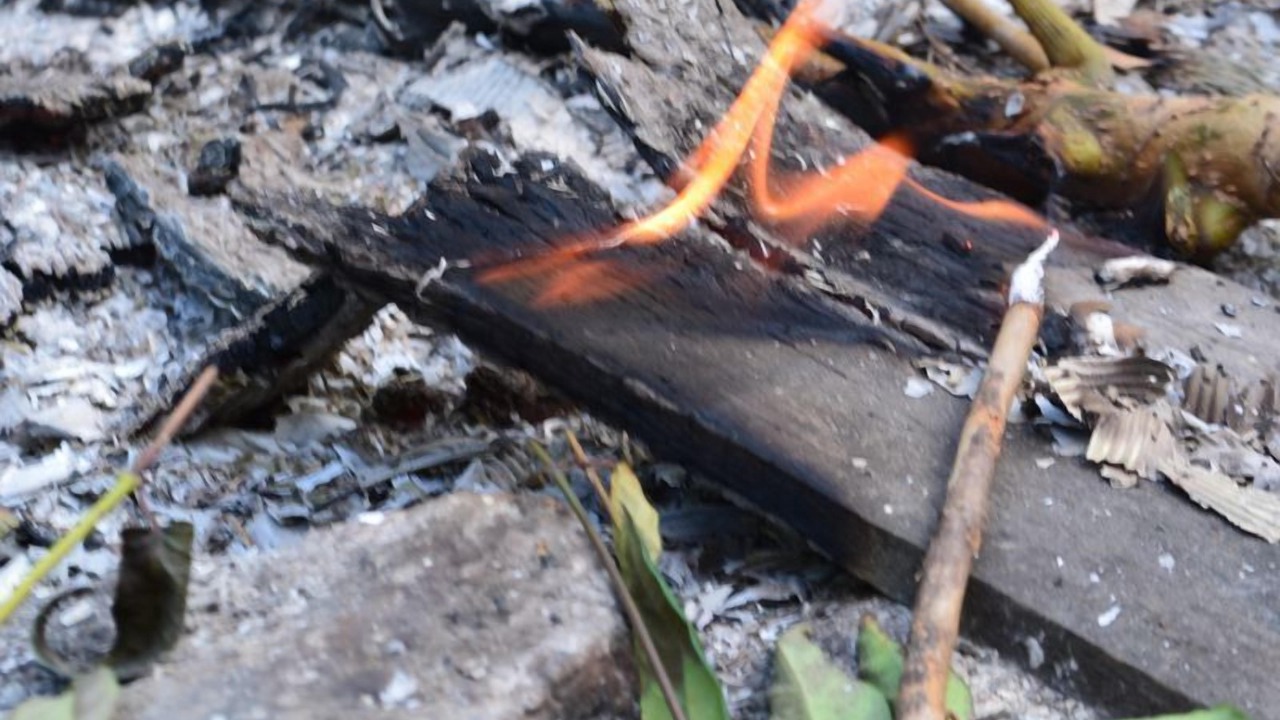 Photo of Outdoor in Eatons Hill