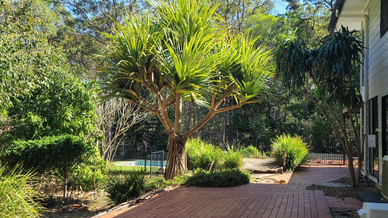 Photo of Outdoor in Eatons Hill