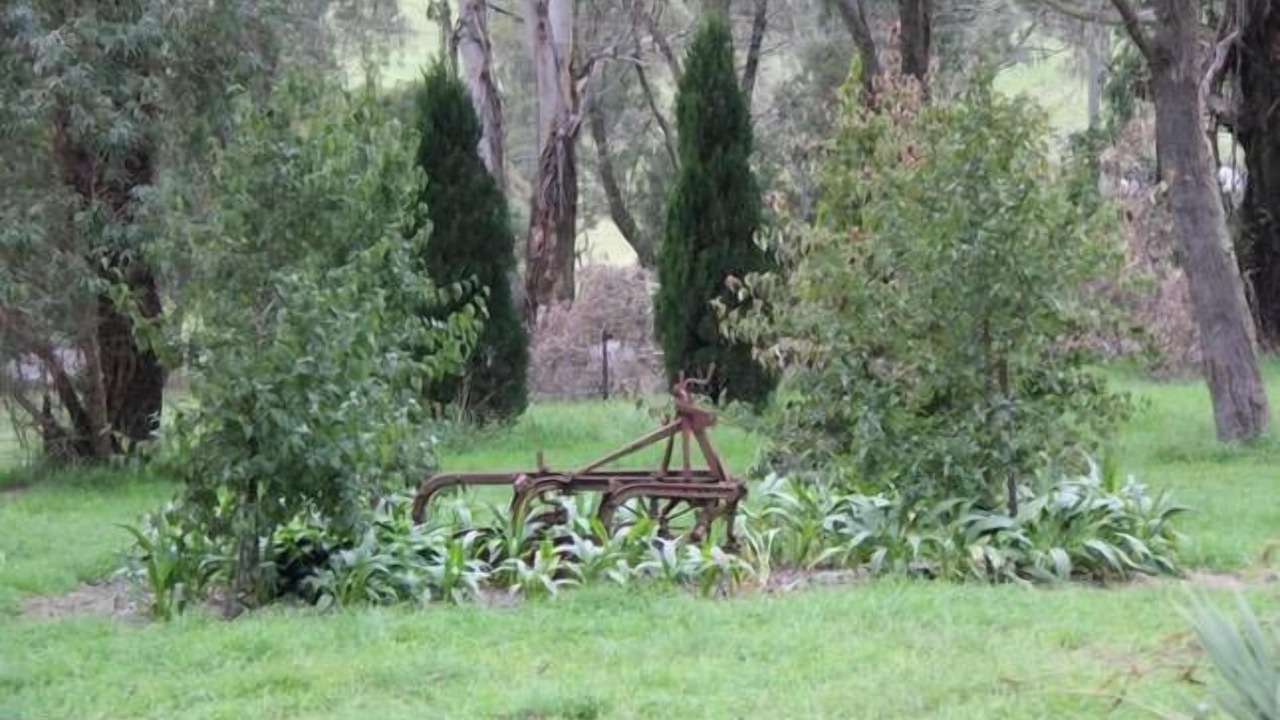 Photo of Outdoor in Sutton Forest