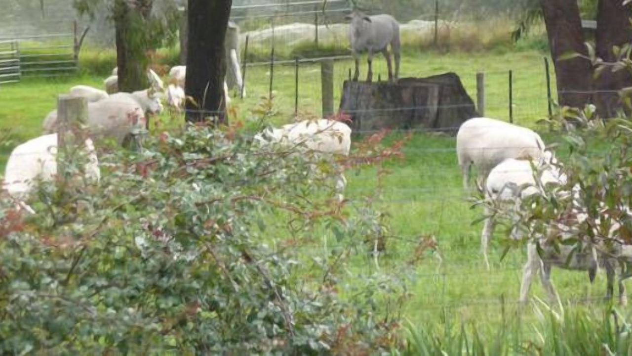 Photo of Outdoor in Sutton Forest
