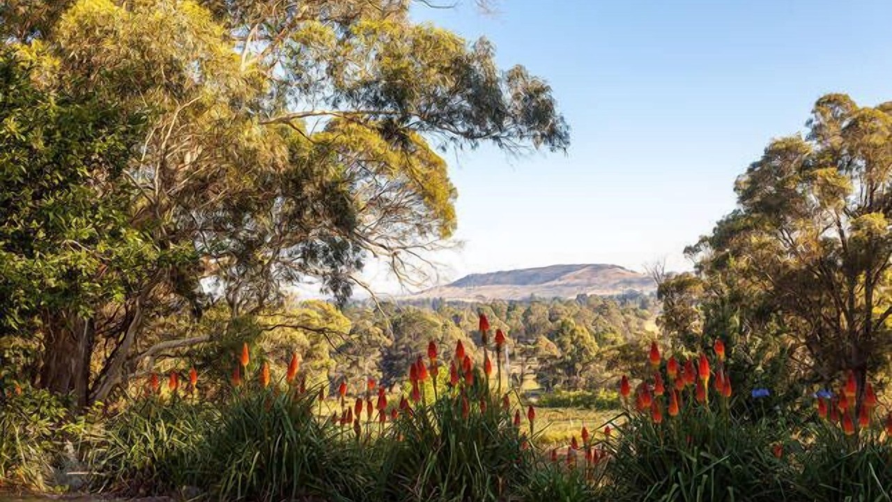 Photo of Outdoor in Sutton Forest