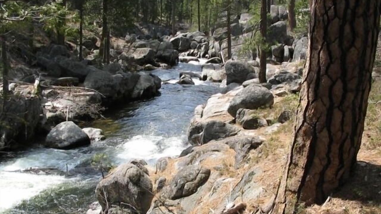 Photo of Others in Strawberry