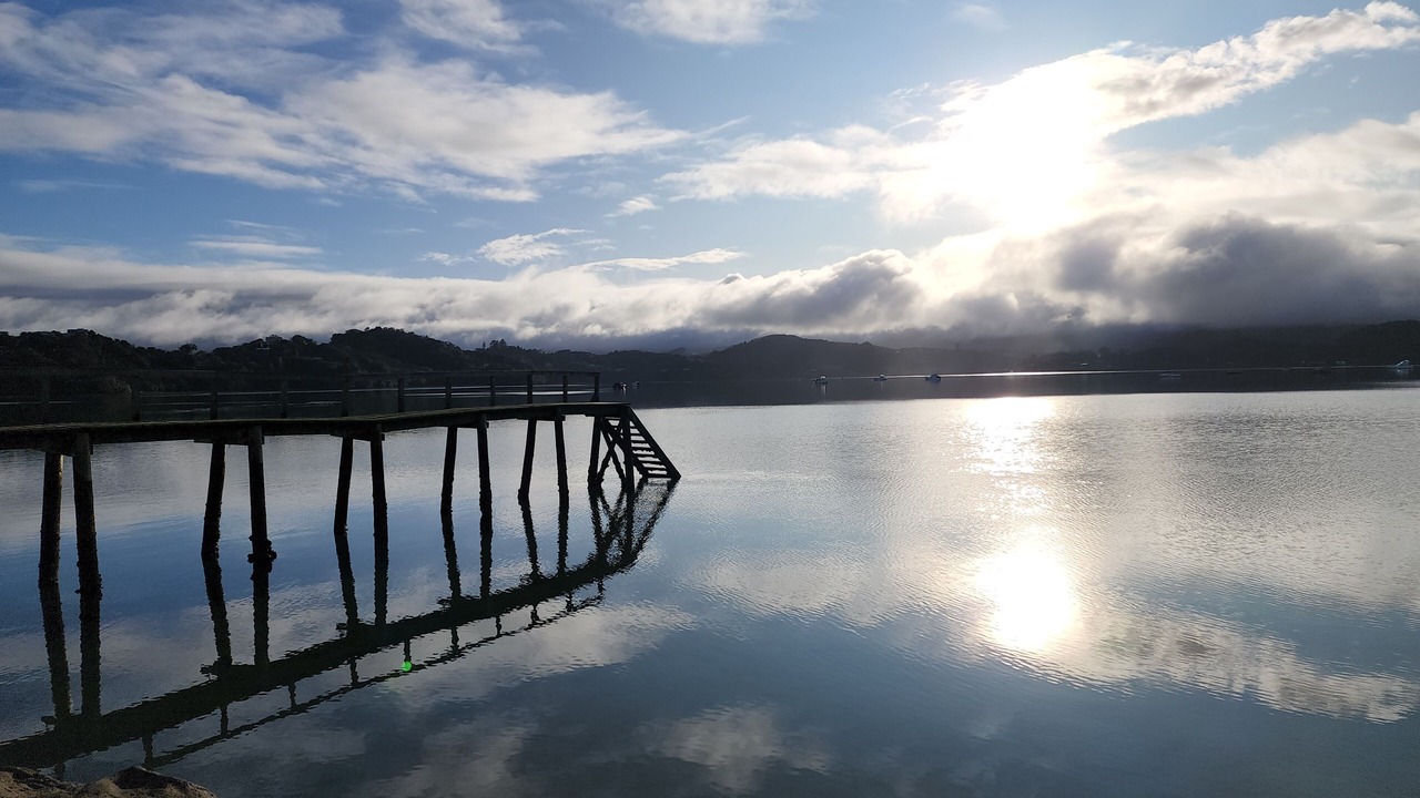 Photo of Others in Coromandel