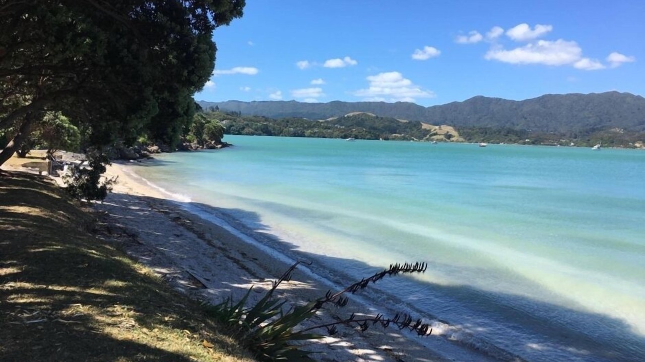 Photo of Others in Coromandel