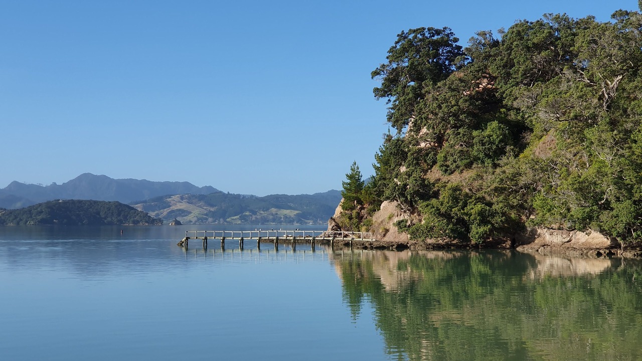 Photo of Others in Coromandel