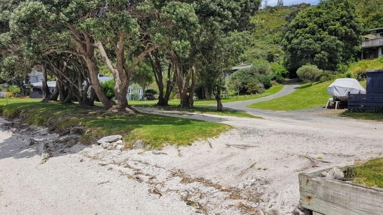 Photo of Others in Coromandel