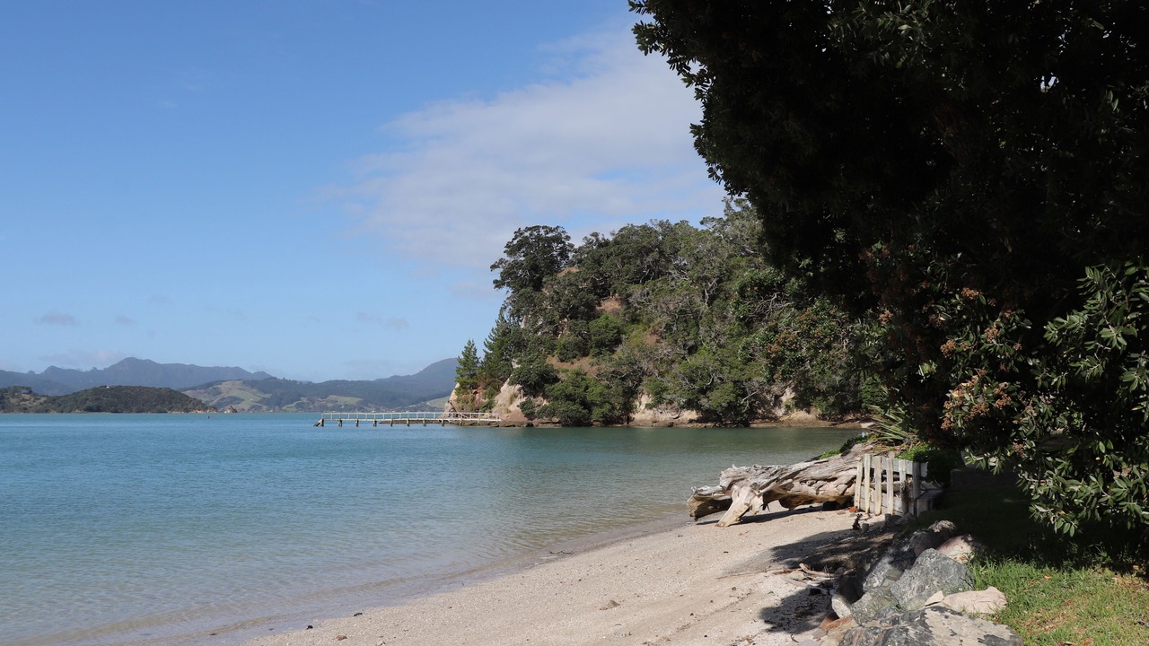 Photo of Others in Coromandel