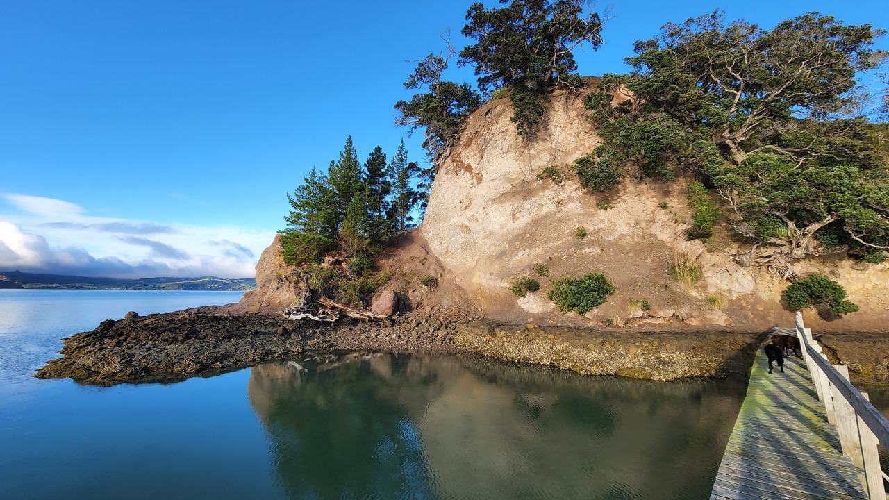 Photo of Outdoor in Coromandel