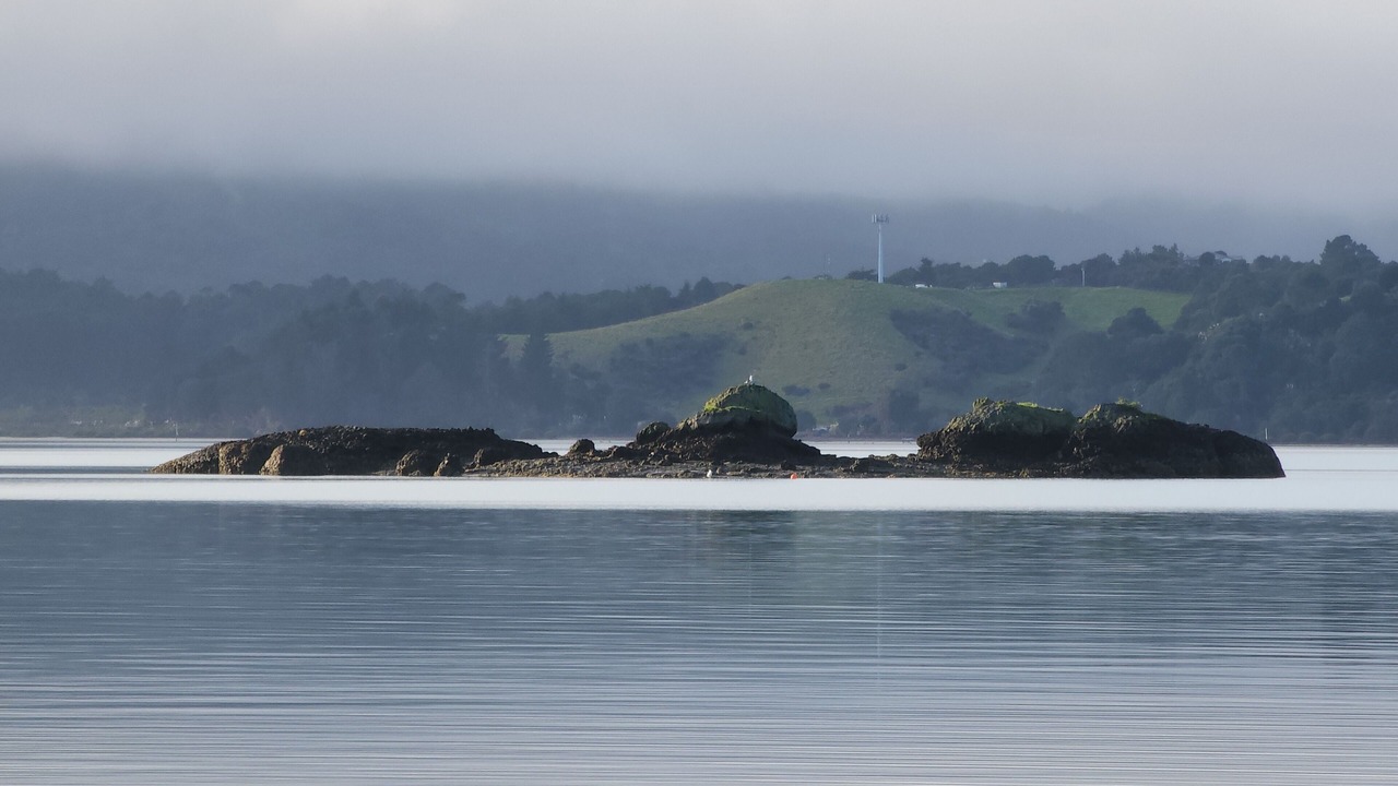 Photo of Others in Coromandel