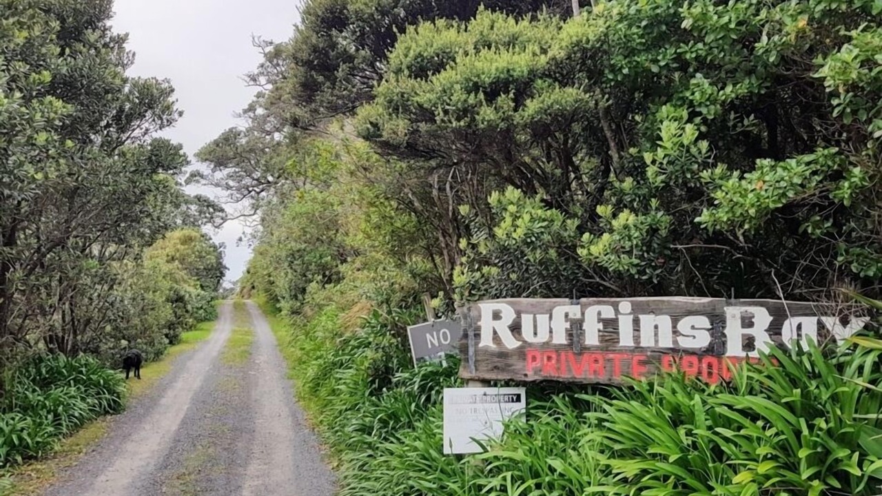 Photo of Others in Coromandel