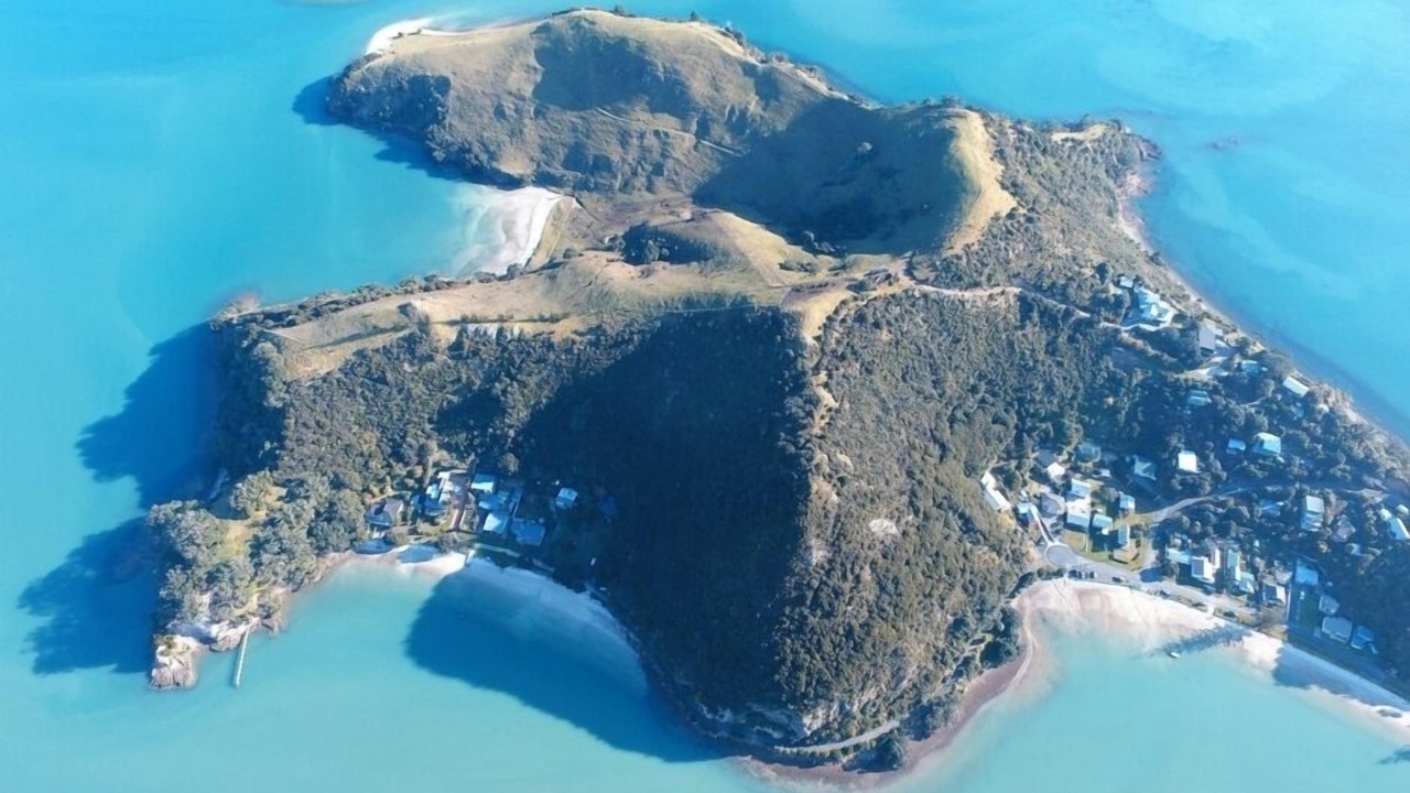 Photo of Others in Coromandel