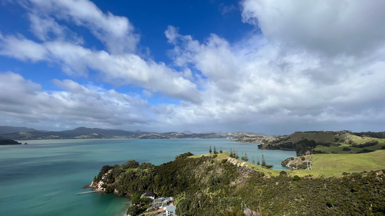 Photo of Others in Coromandel