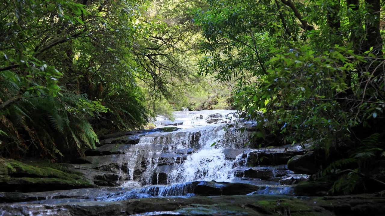 Photo of Others in Katoomba