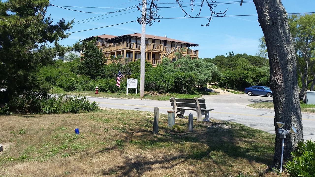 Photo of Others in North Truro