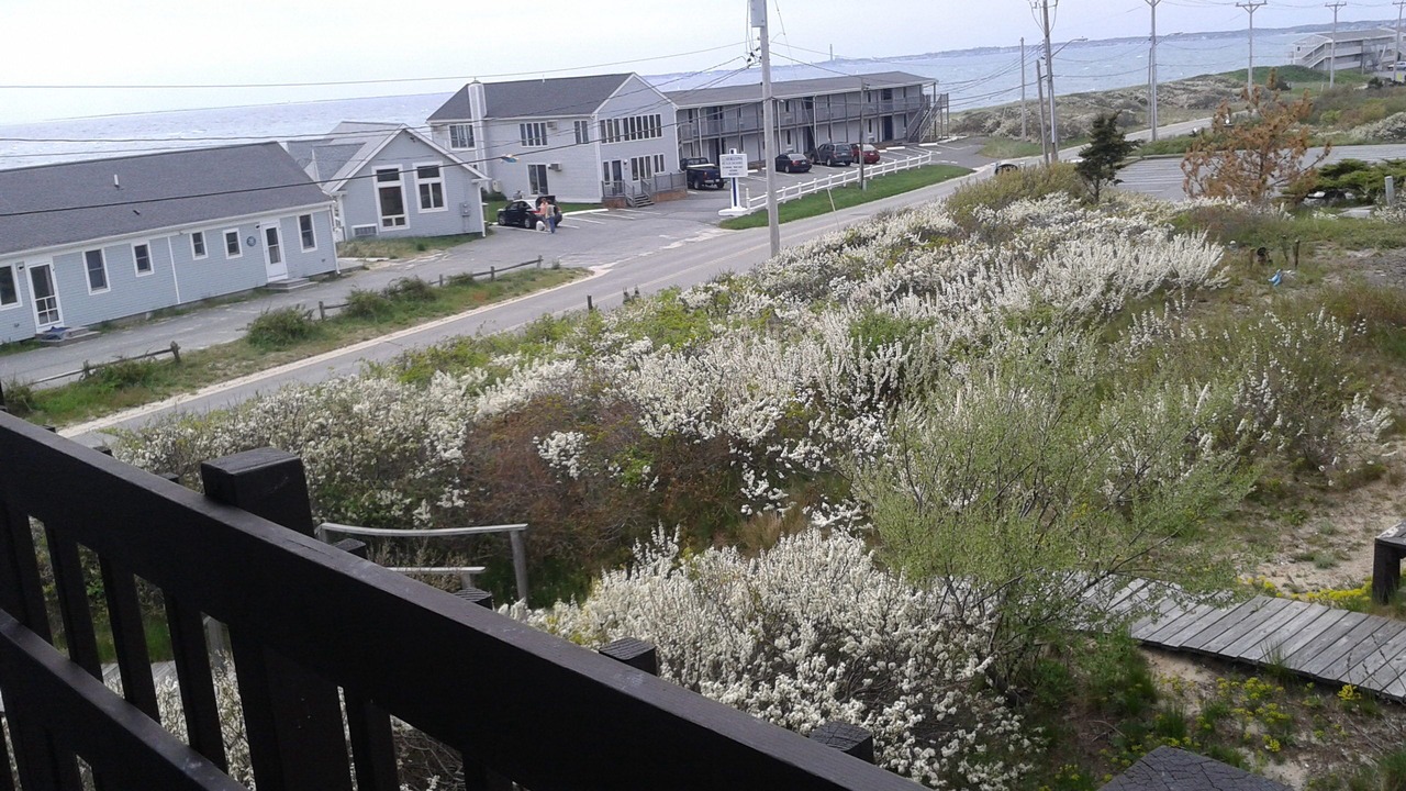 Photo of Outdoor in North Truro