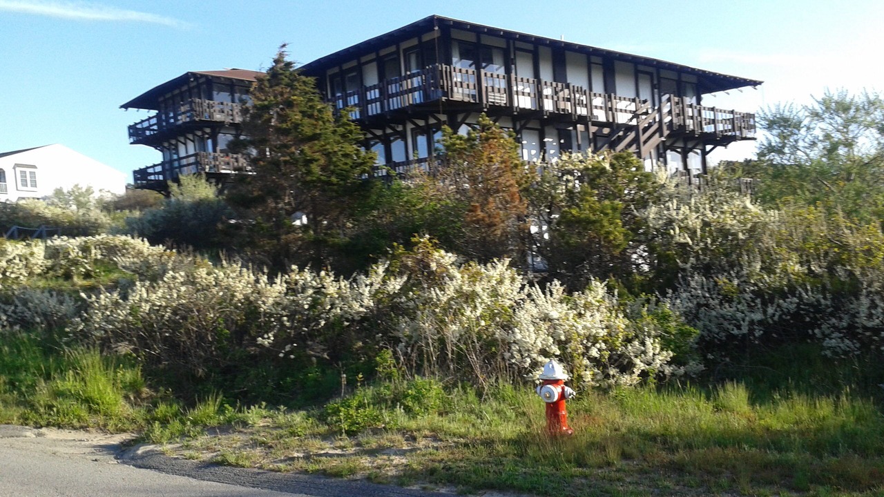 Photo of Outdoor in North Truro
