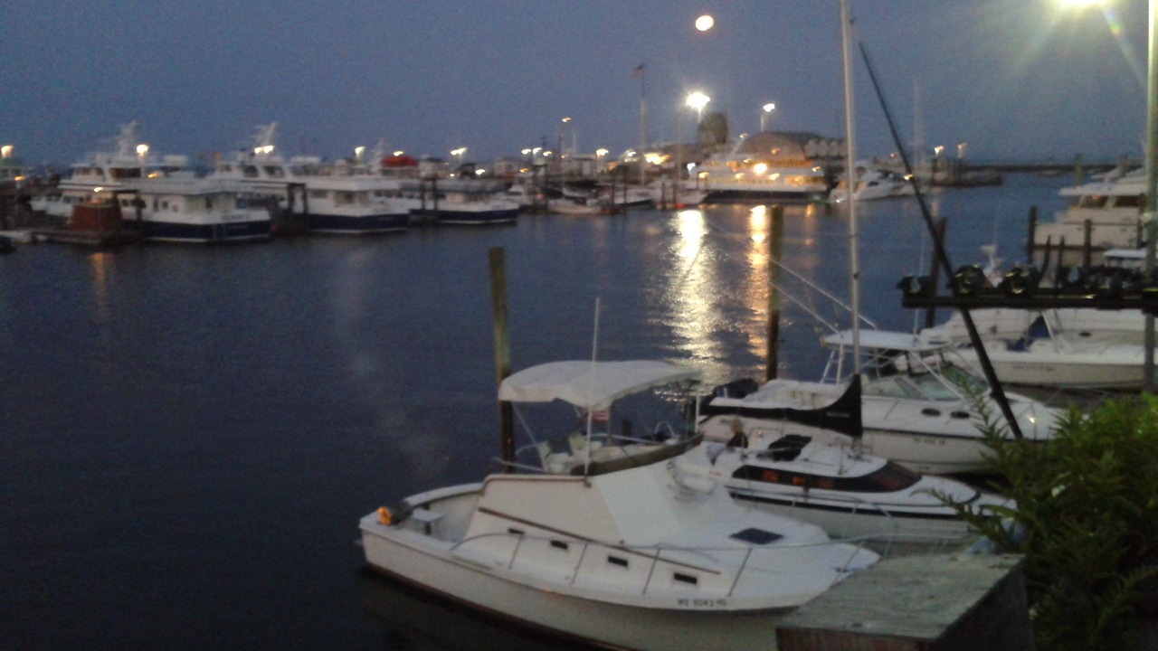 Photo of Others in North Truro