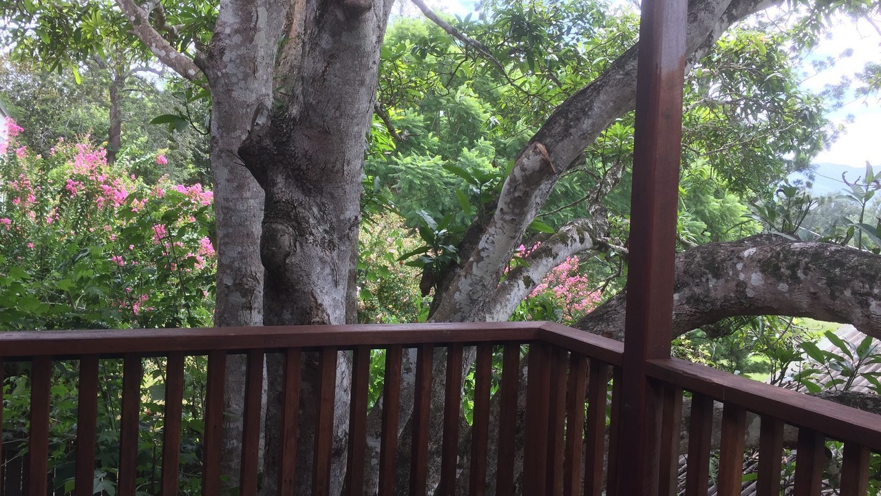 Photo of Others in Bellingen