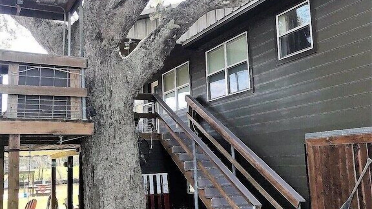 Photo of Outdoor in Cedar Lane