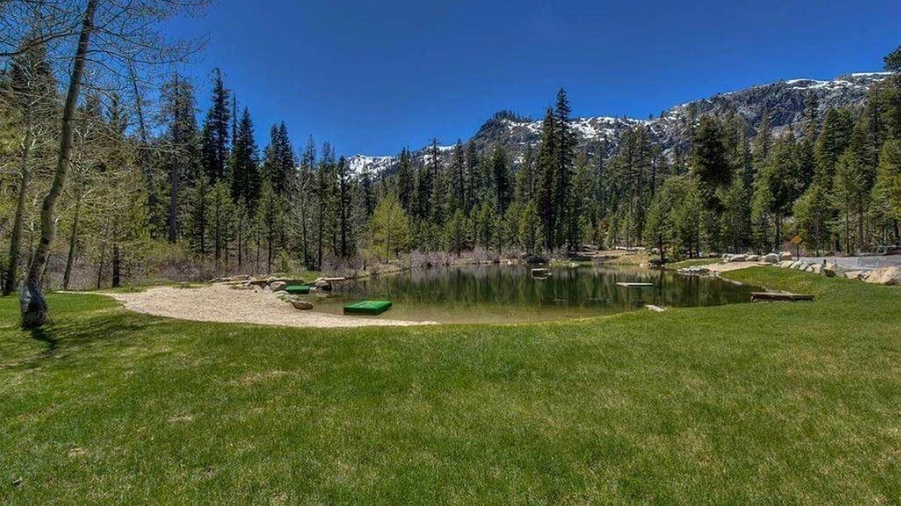 Photo of Others in Alpine Meadows