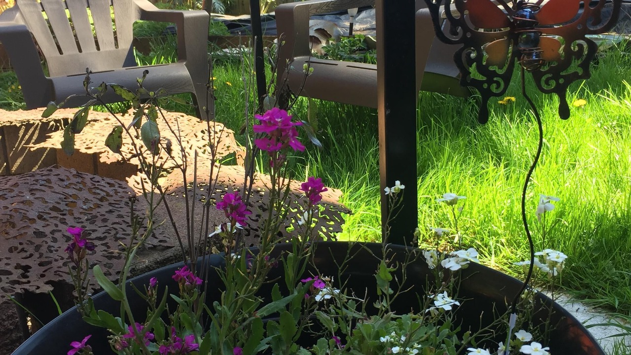 Photo of Outdoor in Concordia