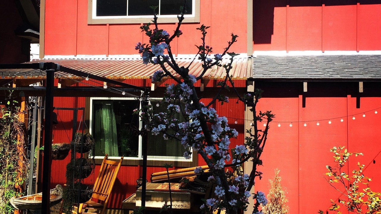 Photo of Others in Concordia