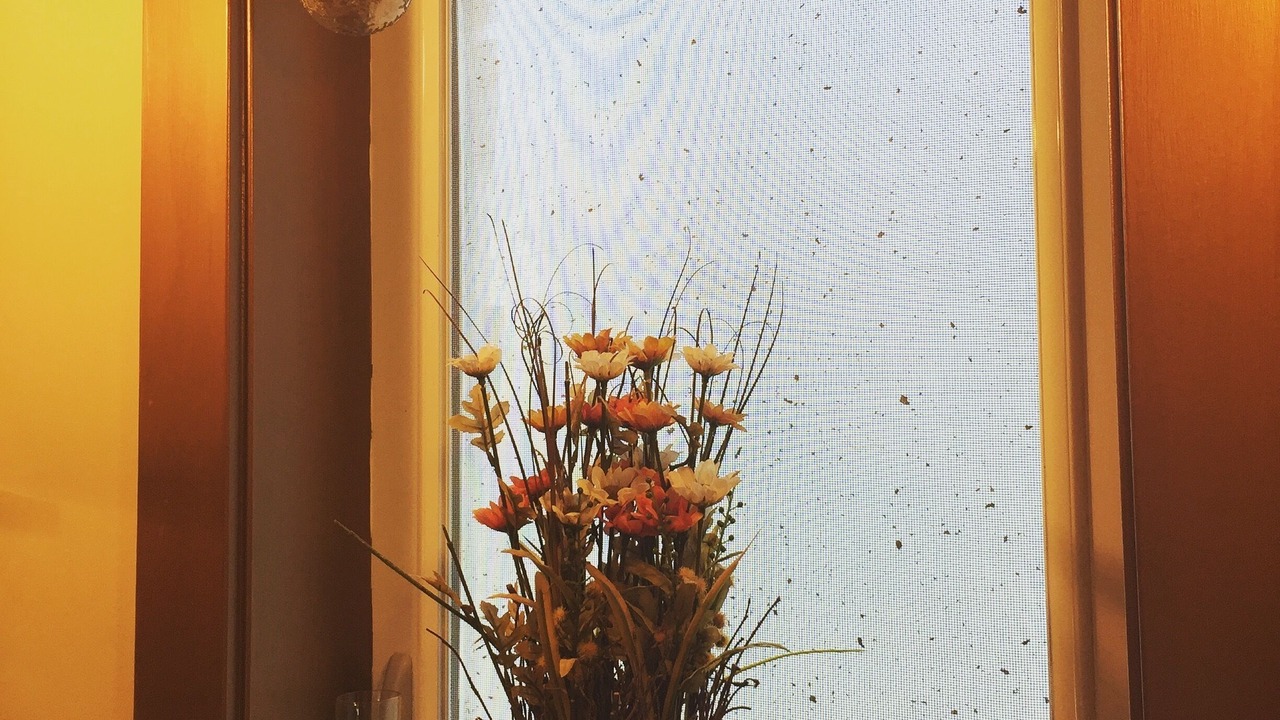 Photo of Others in Concordia