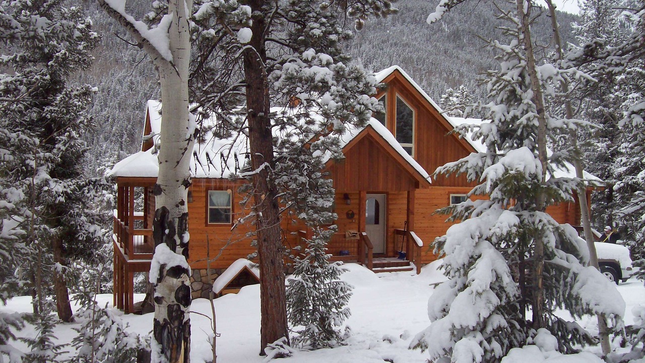 Photo of Others in Buena Vista
